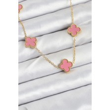 Bfs 316L Çelik Zincir Gold Pembe Renk Yonca Kadın Kolye