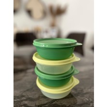 Tupperware Şeker Kap 4lü 300ML Yeni Renk