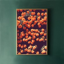 Koyu Çiçek Sanatı, Turuncu Duvar Sanatı, Çiçek Sanatı