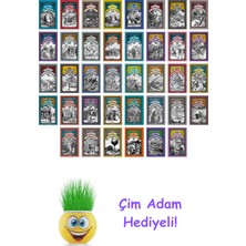 Jules Verne 38 Kitap Seti + Çim Adam Hediye