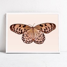 Hayvan Sanatı, Kelebek, Nötr Çocuk Odası, Kelebek Sanatı Çocuk Odası