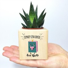 Kişiye Özel Love Books Tasarımlı Ahşap Küp Saksı ve Haworthia Sukulent - MK03