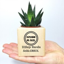 E-Hediyeci Kişiye Özel Ahşap Küp Saksı ve Haworthia Sukulent - Yılbaşı Hediyesi, Yeni Yıl Sukulent Hediyesi,Yılbaşı Hediyeleri,Arkadaşa Hediye