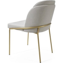 Medusa Metal Ayaklı Modern Sandalye