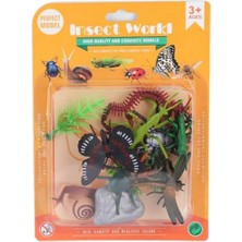 Bfs H7 Kartelalı Sürüngen Hayvanlar