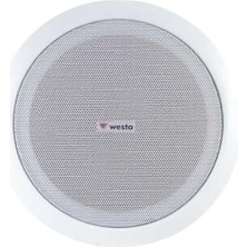 WS-1013T Watt Ohm Trafolu Hoparlör