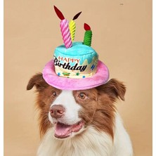 Kedi/köpek Doğum Günü Şapkası - Evcil Hayvan Parti Şapkası