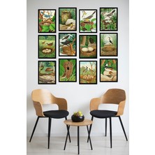 Dekorize Mdf Tablo Seti 12 Parça - Salon Oturma Odası Için Duvar Dekoru Çerçeve Görünümlü Onk 1033 13 x 17