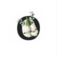 Depomix Harf Figürlü Kaktüs Sukulent Saksısı-O