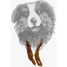 Beef Tendon2 Pcs. - Dana Tendon 2 Adet