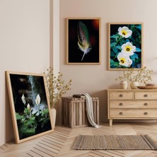 Ahşap Çerçeveli Hafiflik ve Huzur Üçlü Ahşap Tablo Seti