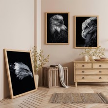 Ahşap Çerçeveli Kel Kartal Üçlü Ahşap Tablo Seti