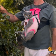 Kedi Köpek Ana Kucağı