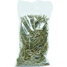 Yoğurt Otu 50 gr Paket