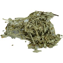 Iğde Yaprağı Doğal 100 gr Paket