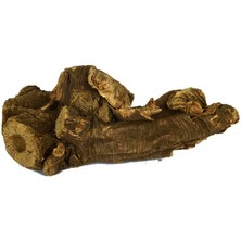 Doğal Ravent Kökü 100 gr Paket