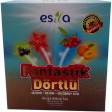 Fantastik Dörtlü Sel Yaz Çayı 45 Süzen Poşet