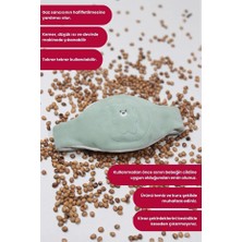 Kiddy Boo Gaz Çıkartıcı Doğal Kiraz Çekirdeği Dolgulu Bebek Kemeri Yeşil