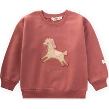 At Aplikeli Sweatshirt 1-6 Yaş Gül Kurusu