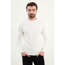 Desenli Slim Fit Bisiklet Yaka Erkek Triko Kazak