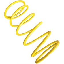 Asya Efsane Eco 100 Arka Debriyaj Performans Yayı (1250 Rpm)