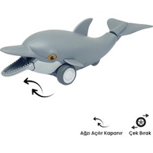 Sürtmeli Hayvanlar Serisi - H-53 - Yunus Balığı (Lisinya)