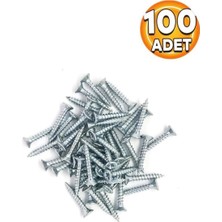 Sunta Vidası 4 x 30 100 Adet Vida
