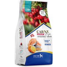 Carni Life Cranberry Ancestral Grain Somon ve Portakal Mini Yetişkin Köpek Maması 2,5kg