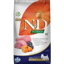 Nd Pumpkin Tahılsız Kuzu Eti Balkabağı ve Yaban Mersinli Küçük Irk Yetişkin Köpek Maması 2,5kg
