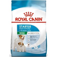 Royal Canin Mini Starter Köpek Maması 4kg