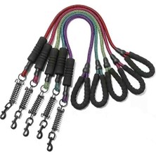 Lionpet Yaylı Fitil Köpek Gezdirme Kayışı 1,5cmx1,2mt