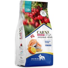 Carni Life Cranberry Ancestral Grain Somon ve Portakal Medium&maxi Yetişkin Köpek Maması 12KG