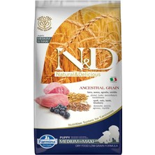 Nd Ancestral Grain Düşük Tahıllı Kuzu Eti ve Yaban Mersinli Orta ve Büyük Irk Yavru Köpek Maması 12KG