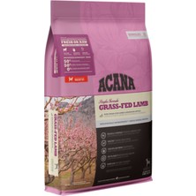 Acana Grass Fed Lamb Tahılsız Kuzu Etli ve Elmalı Yetişkin Köpek Maması 6kg