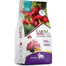 Carni Life Cranberry Ancestral Grain Kuzu ve Böğürtlen Medium&maxi Yetişkin Köpek Maması 12KG+3KG