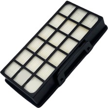 Rowenta Uyumlu Ro 6481 Silence Force 4A Süpürge Hepa Filtre