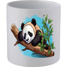 Ağaç Dalında Panda Baskılı Kulpsuz Kupa Bardak - Hediye Kahve Kupası, Su Bardağı