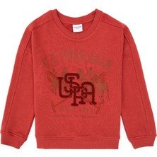 U.S. Polo Assn. Erkek Çocuk Gül Kurusu Bisiklet Yaka Sweatshirt 50308518-VR026
