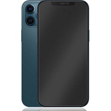 Gpack iPhone 16E Full Mat Ekran Koruyucu Siyah