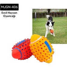 Kedi Köpek Amerikan Topu - Lisinya