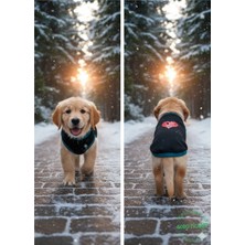 Love Desenli Kışlık Siyah Kedi Köpek Kıyafeti Elbisesi