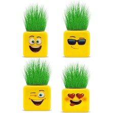 Çimoji 4 Figürlü Emoji Küp Çim Adam