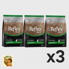 Reflex Plus Tavuklu Yavru Kedi Maması 1 kg x 3 (3 Kilo) 3 Lü Fırsat Paketi