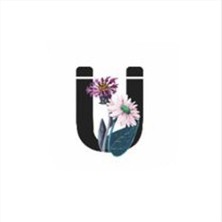 Zero Nrtmsa Harf Figürlü Kaktüs Sukulent Saksısı-Ü