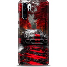Huawei P30 Pro Kılıf Hd Baskılı Kılıf + Nano Tam Kaplayan Ekran Koruyucu 490