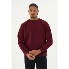 Superlife Süperlife Erkek Gri Bisiklet Yaka Ribanalı Regular Fit Sweatshirt SPR26SWK930