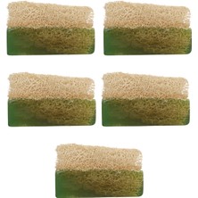 5'li Set Kabak Lifli Aloe Vera Sabunu(Peeling Etkili)
