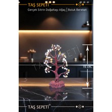 Renkli Sitrin Doğal Taş Ağaç Para Mıknatısı Feng Shui 15 cm