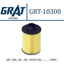 Grat 10300 Yakit Filtresi 77362340