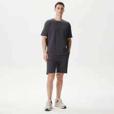 Nautica Erkek Gri Standart Fit Şort